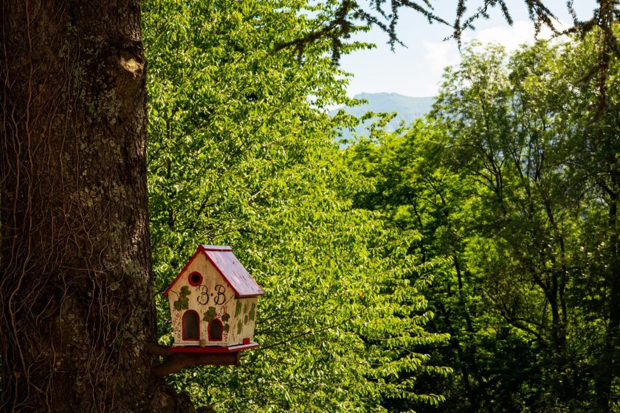 La Demeure Aux Pins Bed and Breakfast Λούρδη Εξωτερικό φωτογραφία