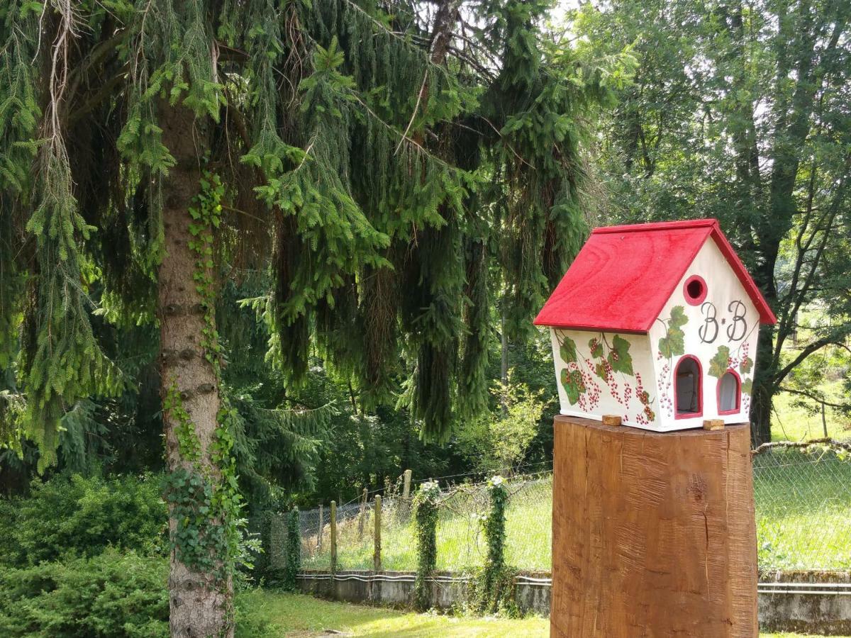 La Demeure Aux Pins Bed and Breakfast Λούρδη Εξωτερικό φωτογραφία