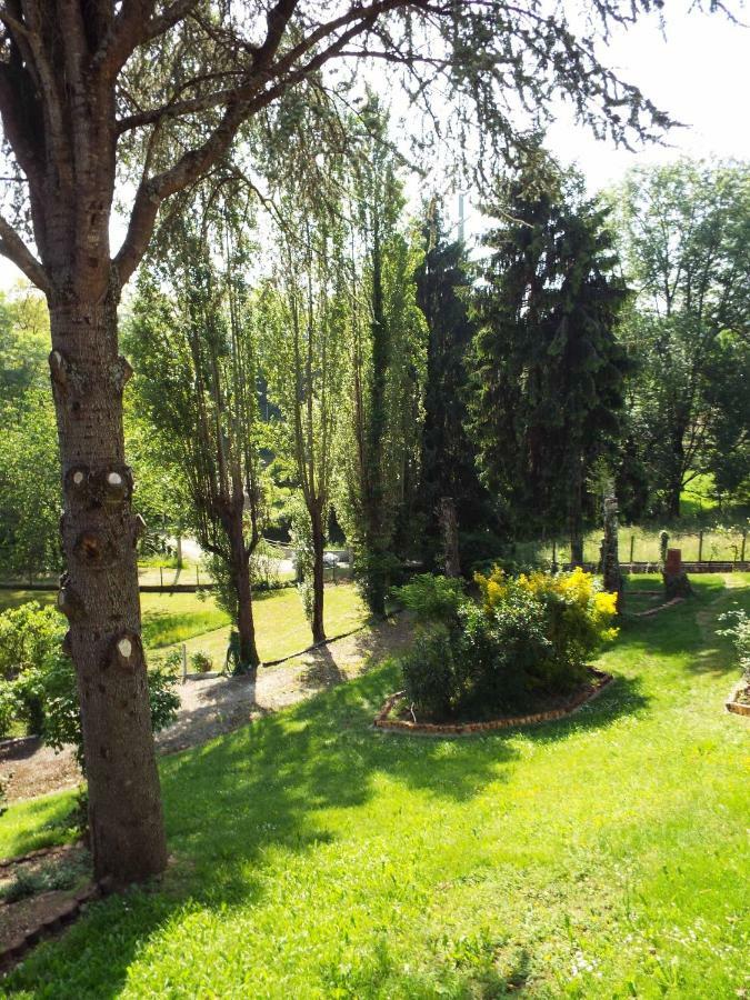 La Demeure Aux Pins Bed and Breakfast Λούρδη Εξωτερικό φωτογραφία