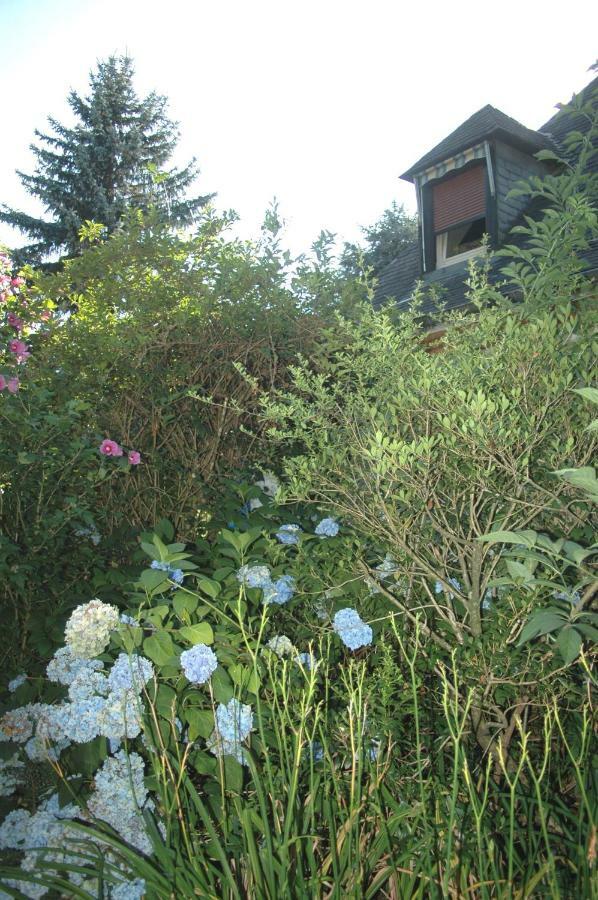 La Demeure Aux Pins Bed and Breakfast Λούρδη Εξωτερικό φωτογραφία
